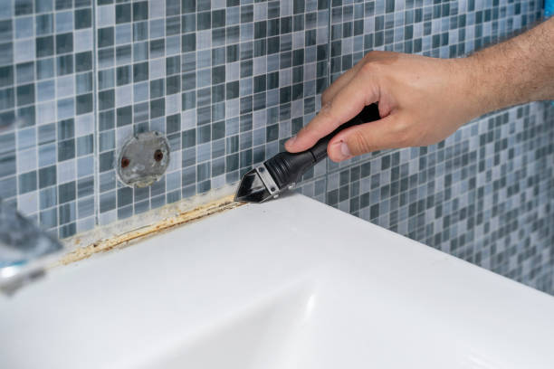 Best Mold Remediation  in Heceta Beach, OR