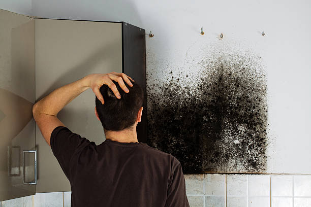 Best Mold Cleaning Services  in Heceta Beach, OR